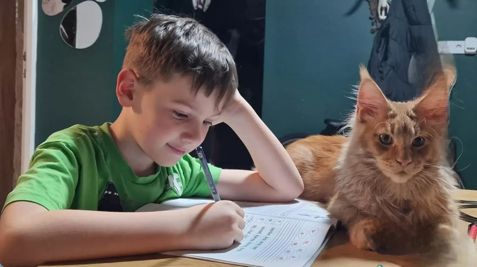 Egykori kiscicánk új otthonában